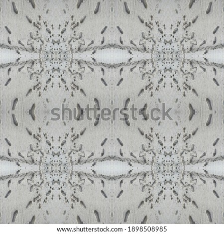 Seamless pattern - detailed picture of prints in the sand