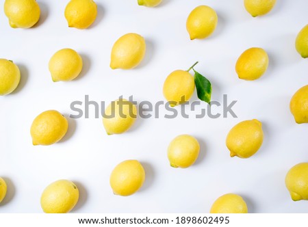 lemon harvest season concept picture
