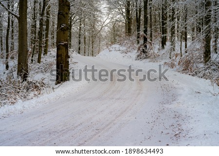 An icy and snowy winter road going through a forest. Picture from Scania, southern Sweden