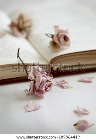 Dry roses and old book. Toned image