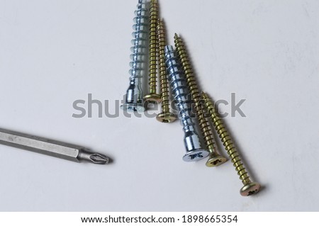 several screws and a bit from a screwdriver lie on a light background. close-up.