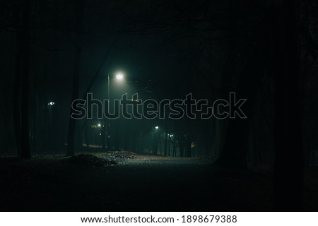 Night lamps in the foggy park