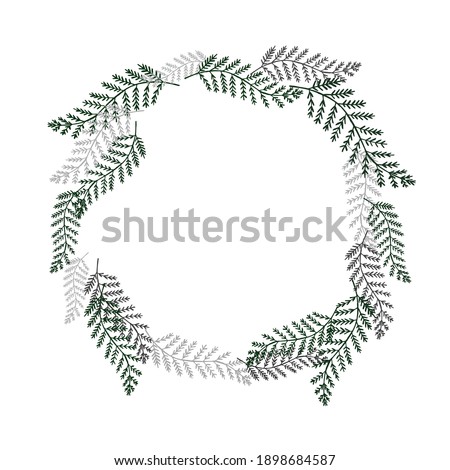 Fern leaf wreath frame. A wreath of green fern leaves. Spruce frame
