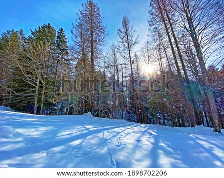 A magical play of light and shadow on a pure white snow cover of the Alpstein mountain massif and in the Obertoggenburg region, Unterwasser - Canton of St. Gallen, Switzerland (Schweiz)