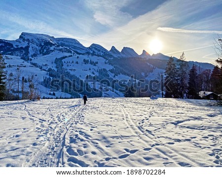 Winter alpine snow peaks of the Churfirsten mountain range between Lake Walenstadt or Lake Walen (Walensee) and the Thur river valley, Unterwasser - Canton of St. Gallen, Switzerland (Schweiz)