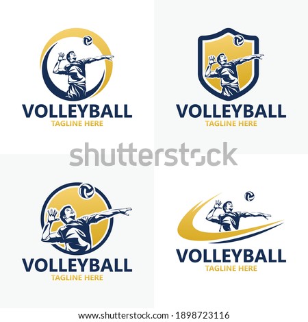 Set volleyball logo template design