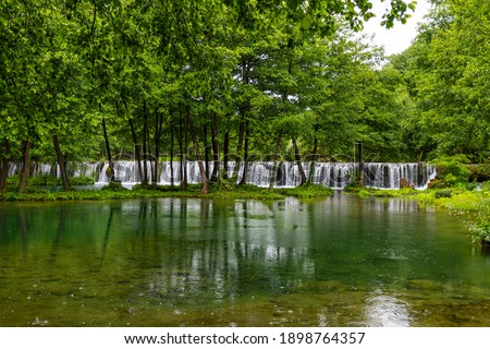 Waterfall in the forest on a rainy day