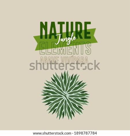 Green plant nature jungle brush in green color- Vector