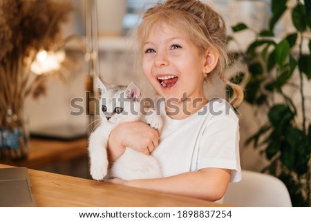 child playing with little cat. A little girl holds a white kitten. A little girl snuggles up to a cute pet while sitting in the living room of the house.Children and pets. 