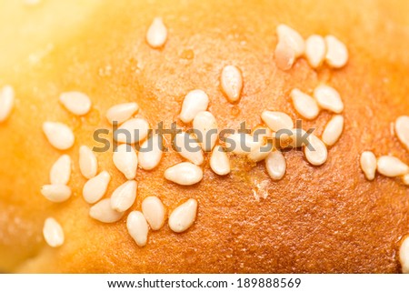 sesame seeds on a bun as a backdrop. macro