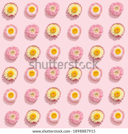 Beautiful dried flowers, small blossoms on soft pink. Natural flowery seamless pattern, romance holiday concept.