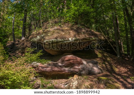 Rock formation in the Palatinate Forest