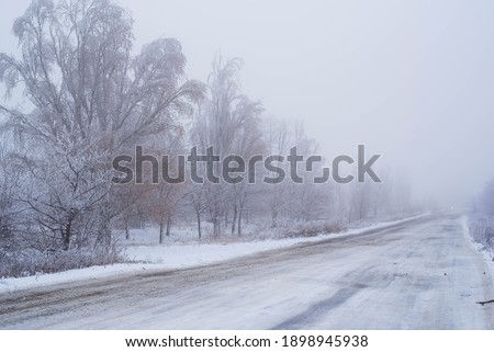 Winter landscape.Trees covered with snow and ice. 