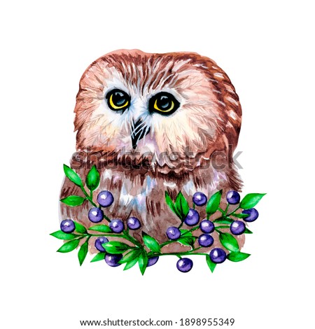 
Watercolor illustration of a cute owl in berries. Brown owl bird, lilac blueberries and leaves. Print for souvenir products, covers.