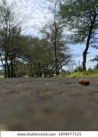 blurry, selective focus, road in the rural area