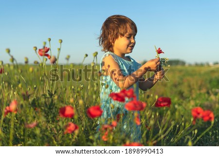 Young beautiful brunette girl toddler in a field of poppies sniffing flowers against a blue sky and dreaming looking away