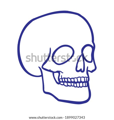 Simple Skull vector design for print tattoo and digital needs