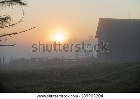 Daybreak in the Country - The early morning sun breaks over the trees of a farm in Duanesburg, New York.
