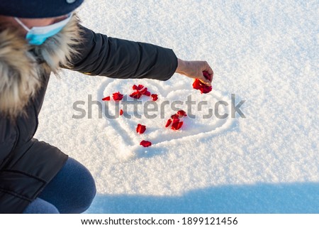 Flat lay rose flowers petals on heart shape white snow, woman sprinkle the petals. Heart-symbol of love, Valentines Day, 14 February
