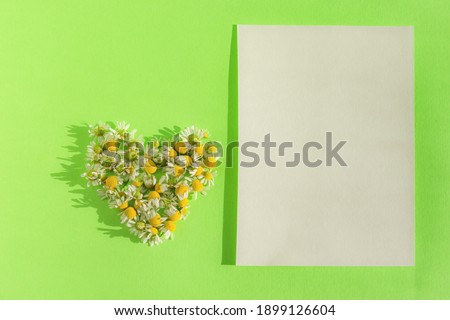 A heart of daisies on a green paper background and a white blank sheet for notes. Bright juicy composition for Valentine's Day, mother's Day.The concept of tenderness and romance. Creative flat layout