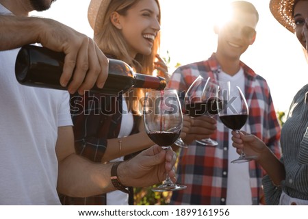 Friends tasting red wine in vineyard on sunny day, closeup