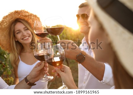 Friends clinking glasses of red wine at vineyard on sunny day, closeup