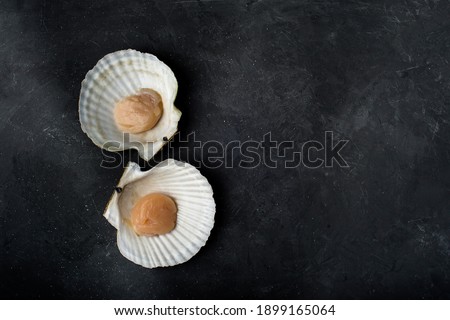 Scallop in a shell. On a black background. Top view. High quality photo