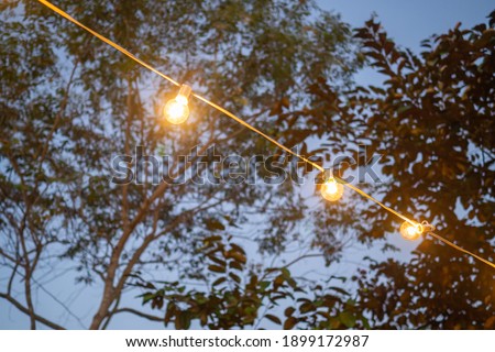 Light bulbs hang from the trees as a part of outdoor party decor.