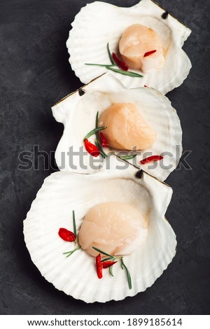 Three scallops in the shells. On a black background. Close up. . High quality photo