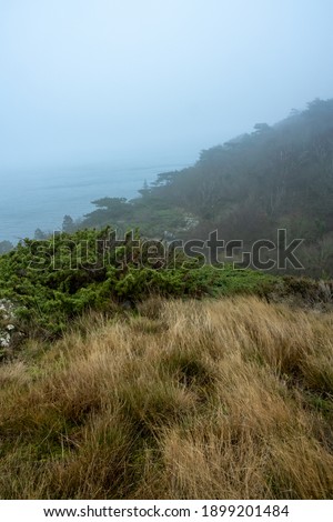 An ocean view from a steep hill a misty day. Yellow grass in the foreground. Picture from Kullen nature reserve, Scania county, Sweden