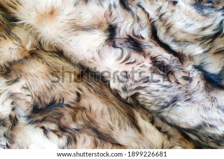 Brown and black wool texture background. Top view of natural fur.Texture of brown and black Fur coat, close up.