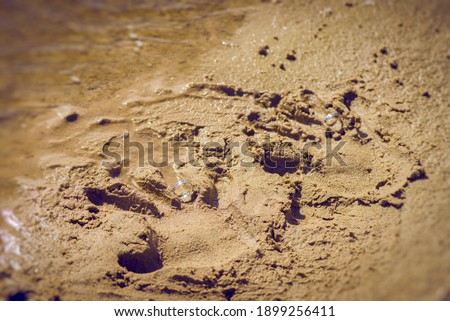 handprints with wedding rings in the sand. close-up, macro