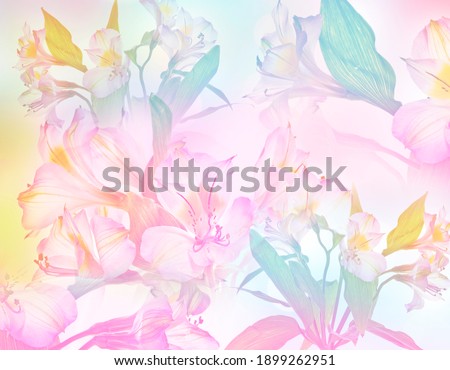 florar background in pastel colors Royalty-Free Stock Photo #1899262951