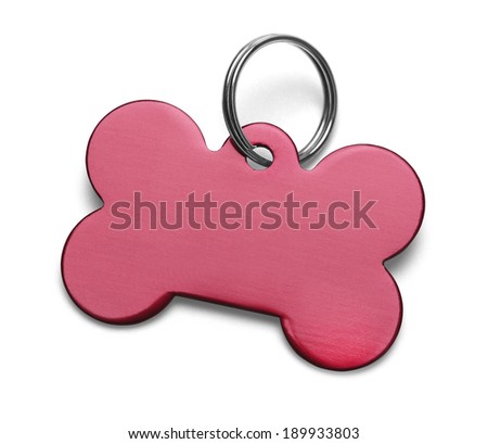 Blank Metal Bone Dog Tag With Ring Isolated on White Background. Royalty-Free Stock Photo #189933803