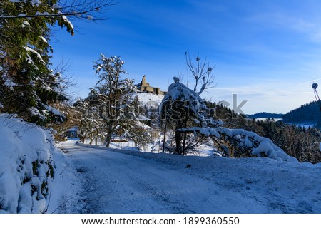 way to the castle ruine ruttenstein in the austrian region muehlviertel on a snowy morning