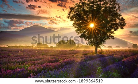 Landscapes with sunrises filmed in Bulgaria.