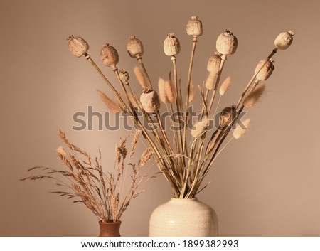 Vases with dried plants in brown tones