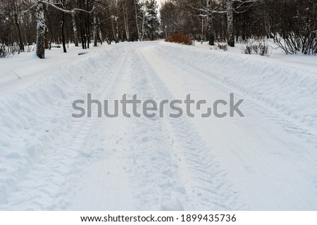 A road cleared of snow in a city park. Russia