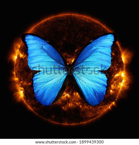 blue butterfly with the sun in space.  Elements of this image furnished by NASA