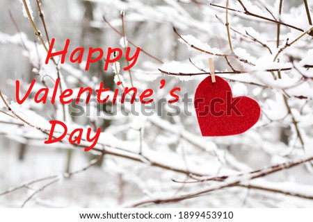 Red heart hanging on snowy branch for Valentine's day. Love message. Close-up. Banner.