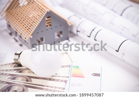 The concept of saving electricity. money, decorative house and a led bulbs close up