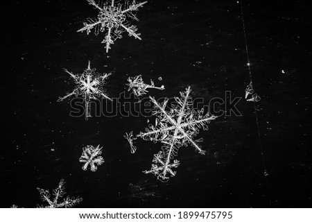 Macro Photography of indivdual Snowflakes  Royalty-Free Stock Photo #1899475795