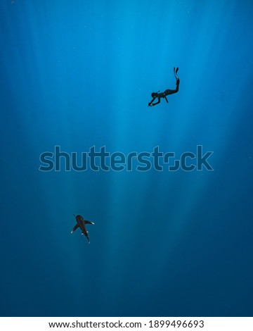 sun rays piercing through deep blue water with a diver as the subject Royalty-Free Stock Photo #1899496693
