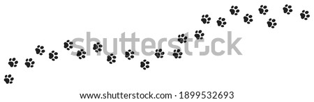 Paw vector foot trail print of cat. Dog, pattern animal tracks  isolated on white background, backgrounds, vector icon Illustration Royalty-Free Stock Photo #1899532693