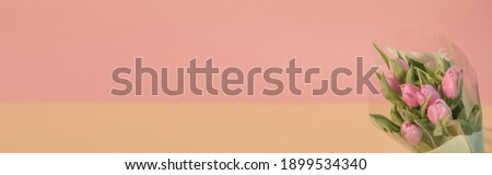Banner for a Women s day, 8 march or Valentines day. Tulips on a pink background. View from above. Close-up. Copy space for text. The concept of holidays and good morning wishes.