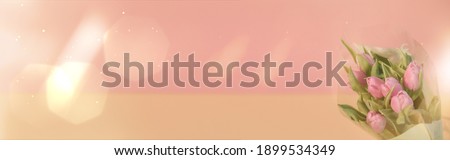Banner for a Women s day, 8 march or Valentines day. Tulips on a pink background. View from above. Close-up. Copy space for text. The concept of holidays and good morning wishes.