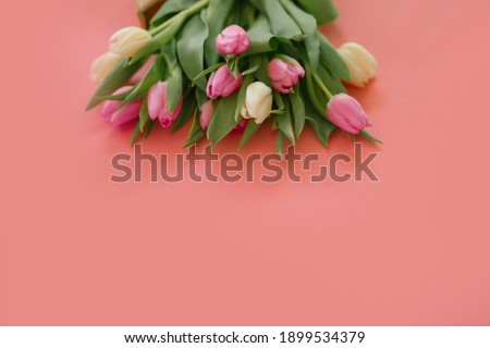 Tulips on a pink background for a Womens Day, Mother Day, 8 march or Valentines day. Close-up. The concept of holidays and good morning wishes.