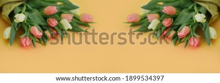 Banner for a Women s day, 8 march or Valentines day. Tulips on a yellow background. View from above. Close-up. Copy space for text. The concept of holidays and good morning wishes.