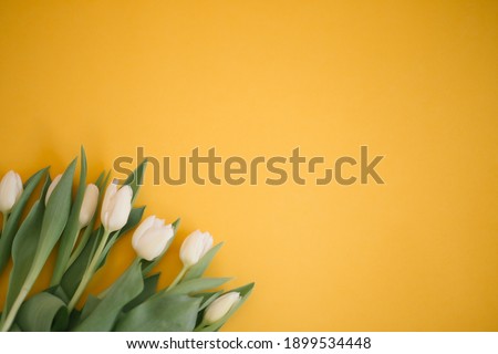 Tulips on yellow for a Womens Day, Mother Day, 8 march or Valentines day. Close-up. The concept of holidays and good morning wishes.