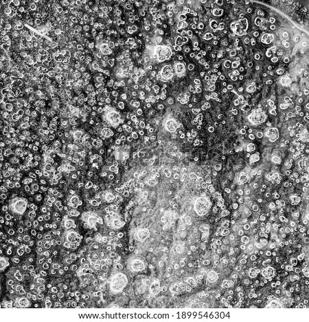 A black and white photograph of lots of little ice bubbles 